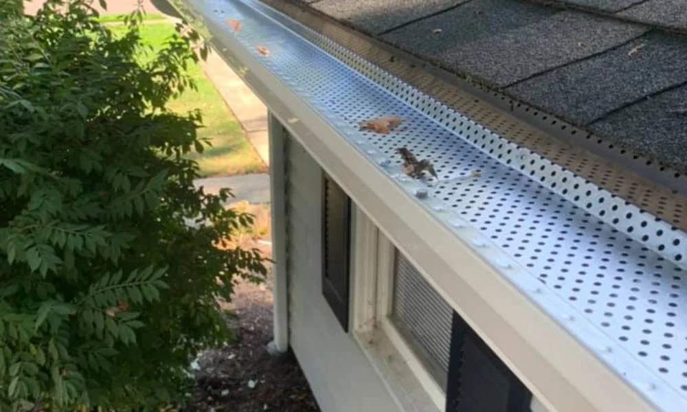 Leaf-Protection-Slider-1